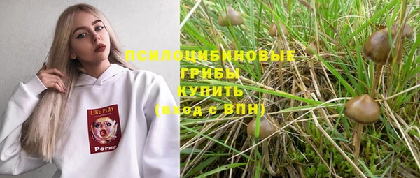 PSILOCYBIN Абинск
